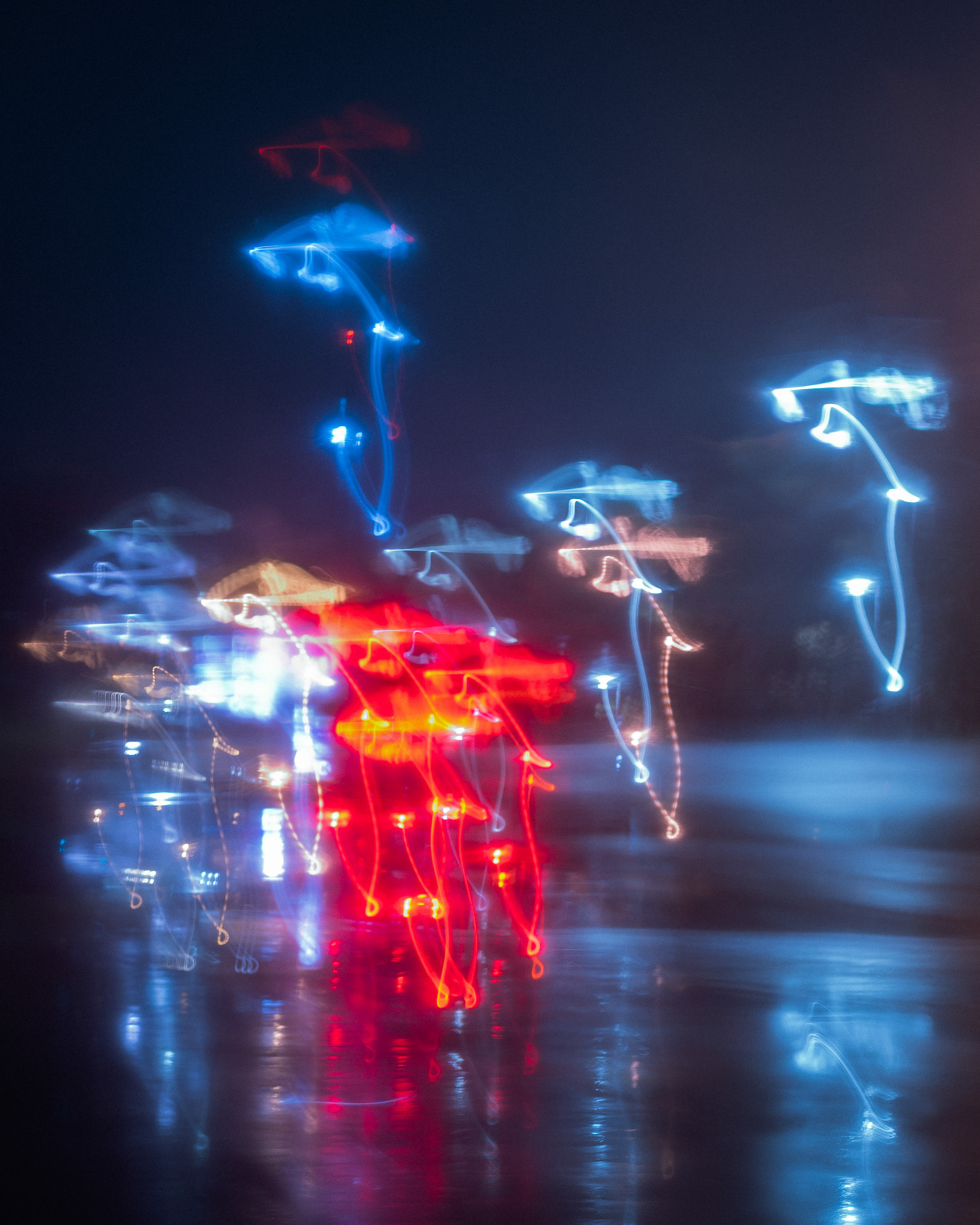 Car Light Mushrooms, 2022