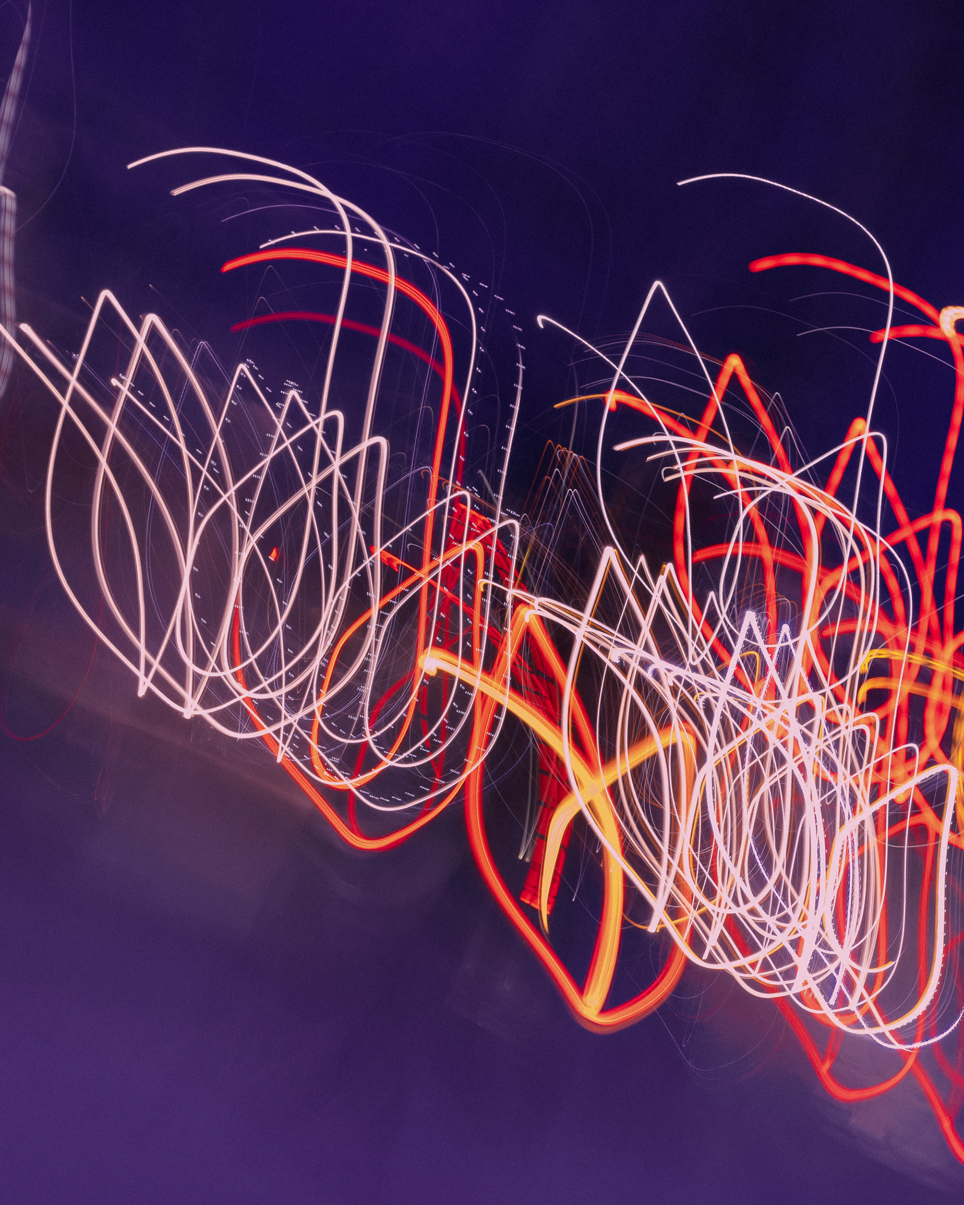 Car Light Flower Petals, 2021