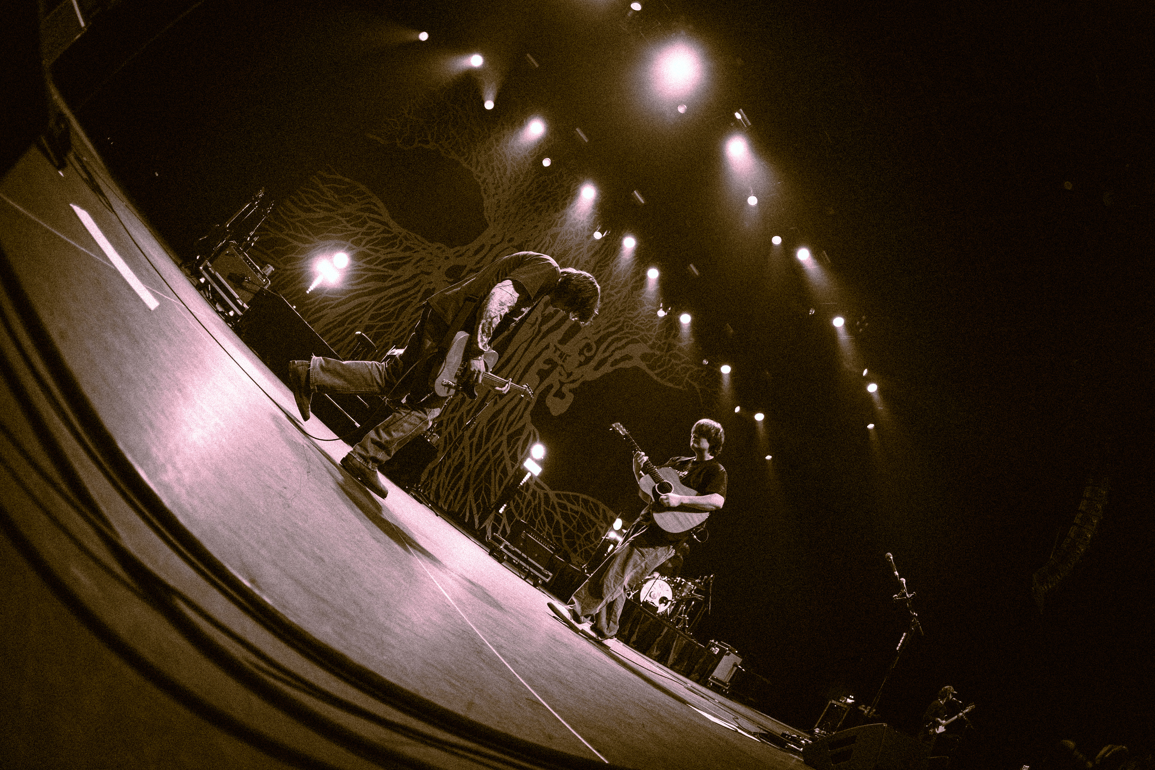 Richy Mitch & The Coal Miners 11/20/25