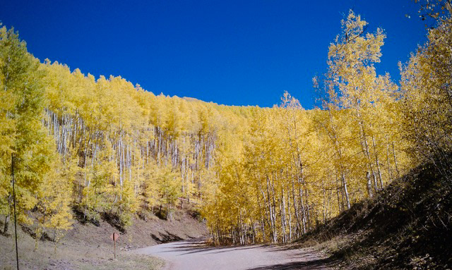 Autumn drive in Ouray County CO