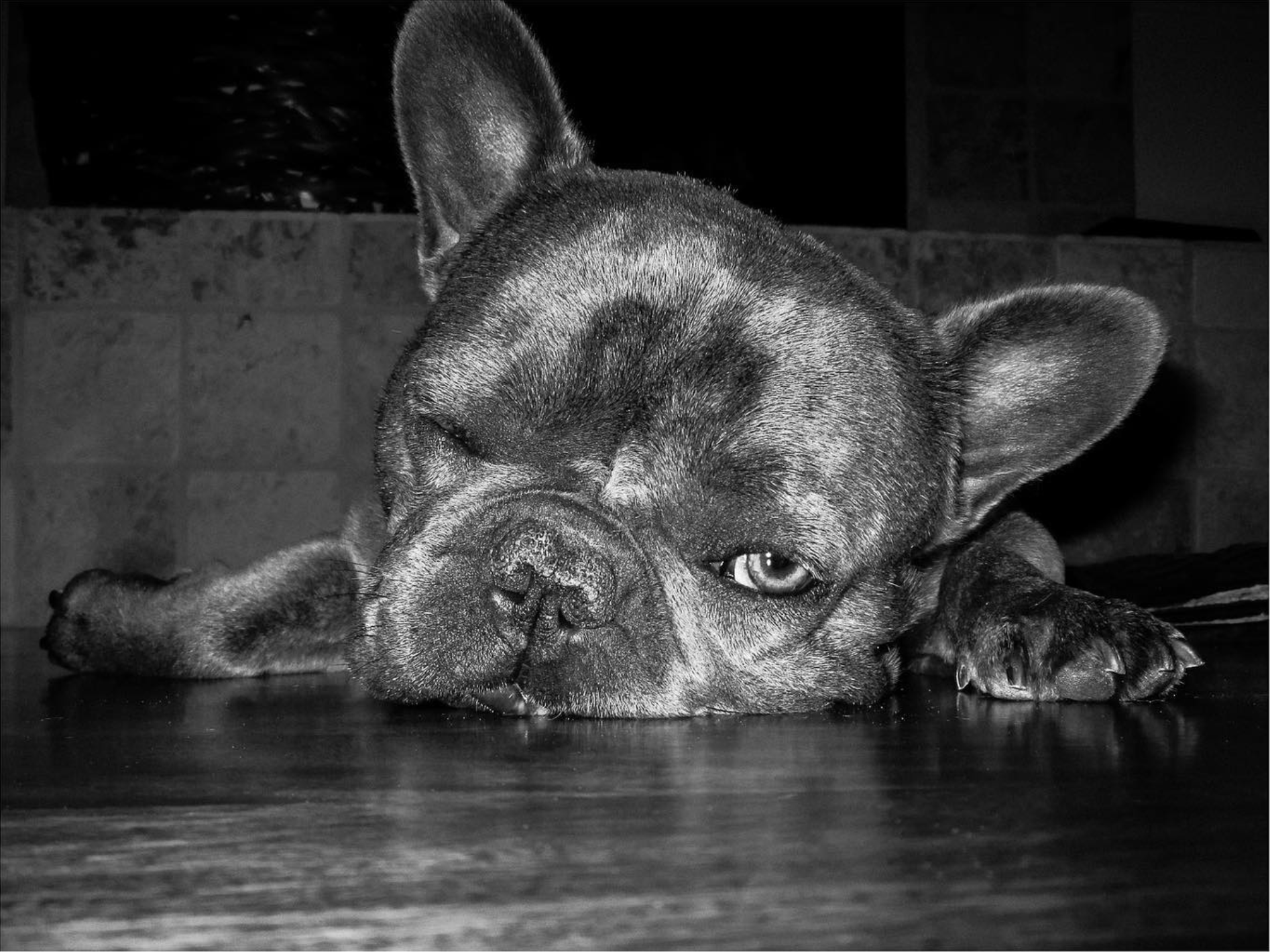 I'm not tired