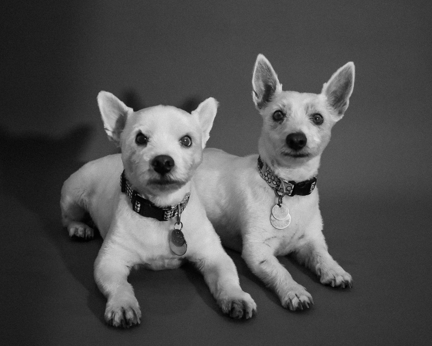 brothers