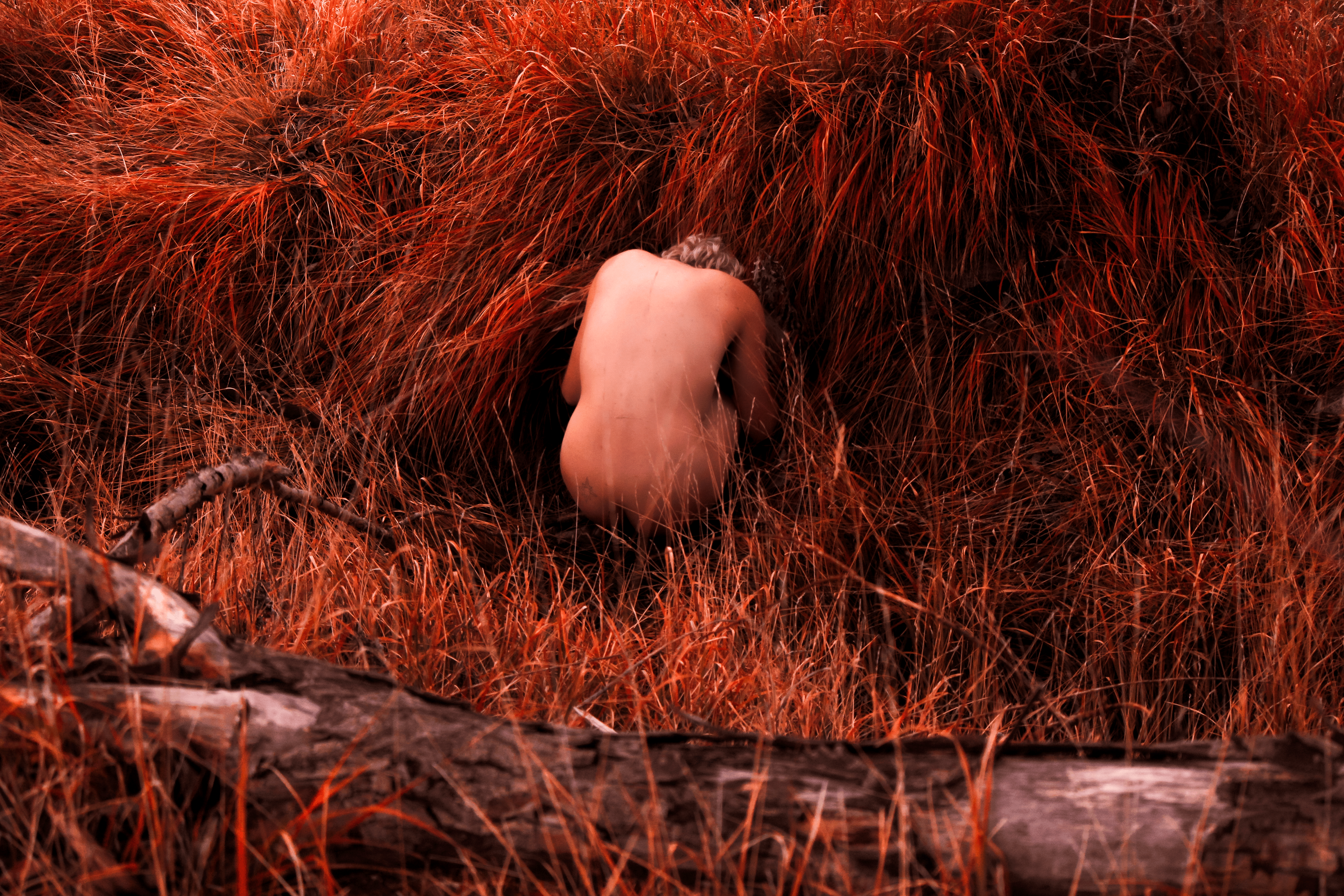 Nature Morte Automnale, 2020