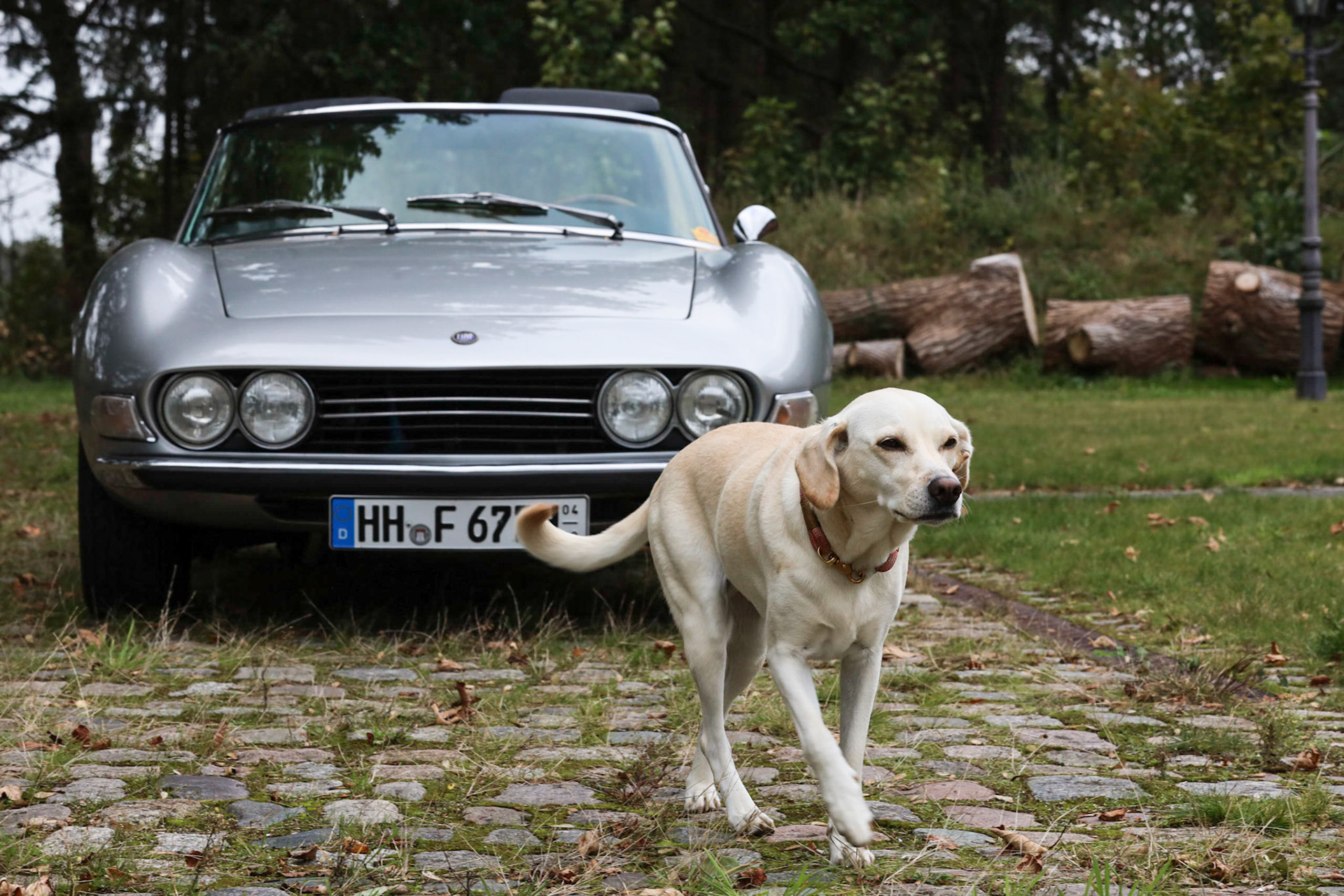 Fiat Dino Spider 2400