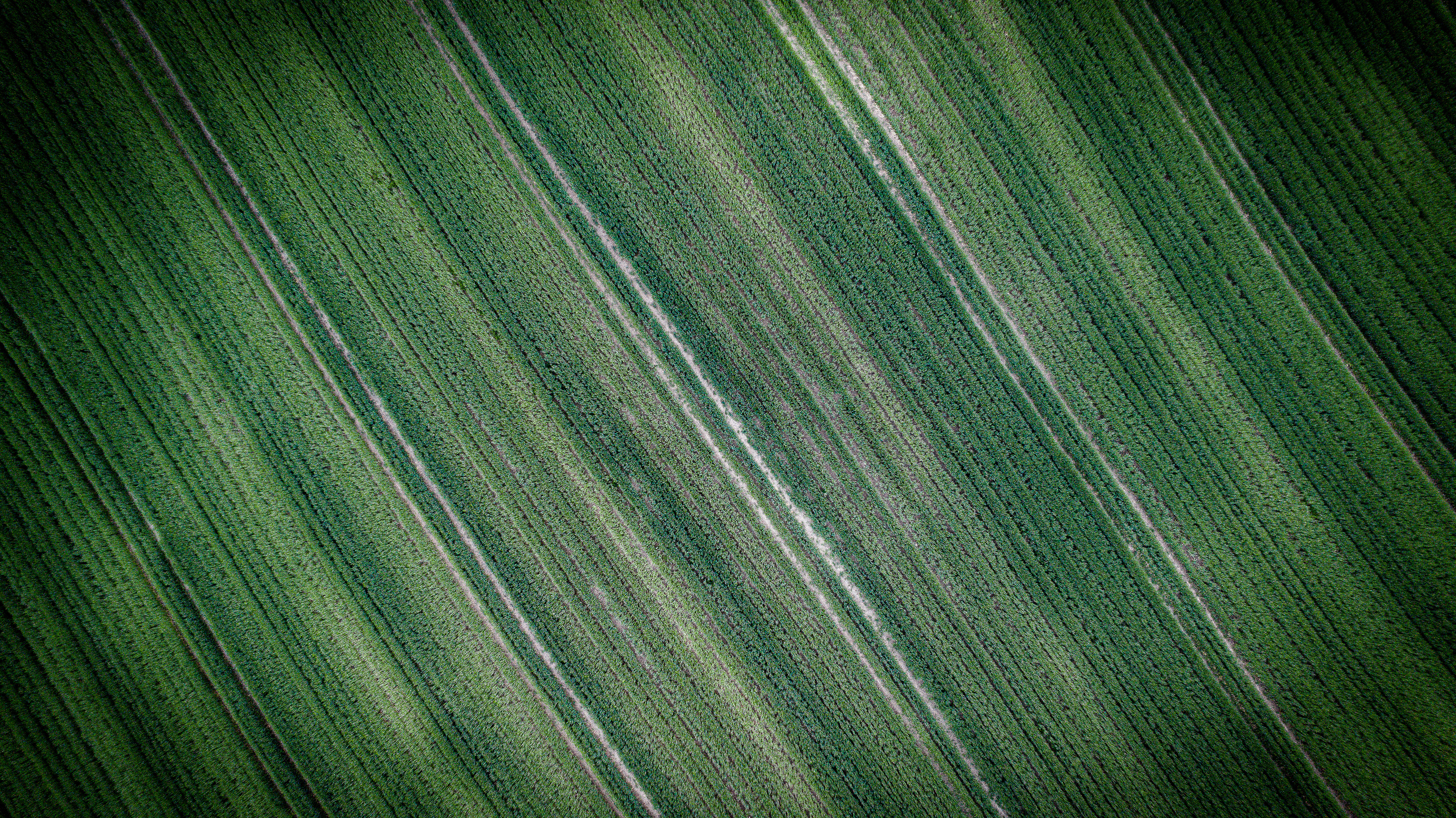 Fotografia z drona - tekstura