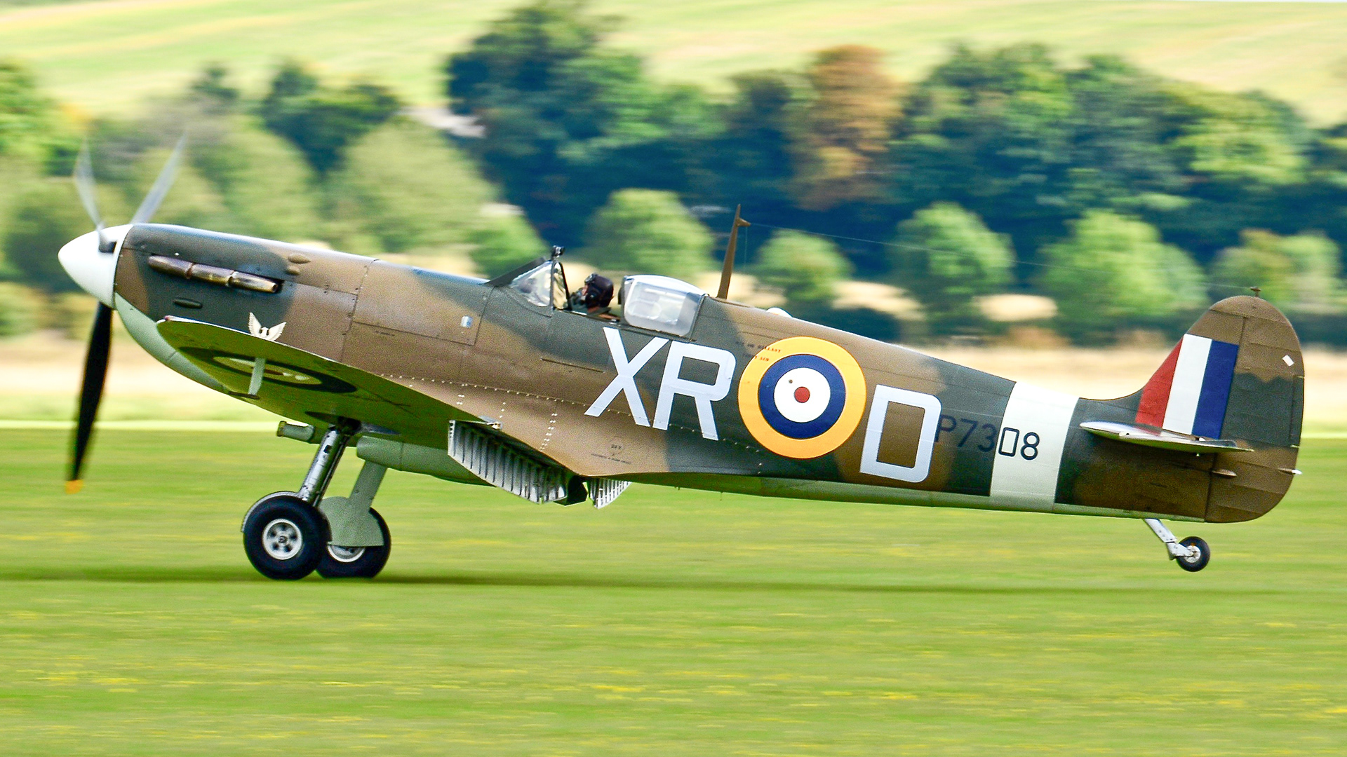 Spitfire landing on the grass runway at IWM Duxford in September 2015. Registration G-AIST / P7308.