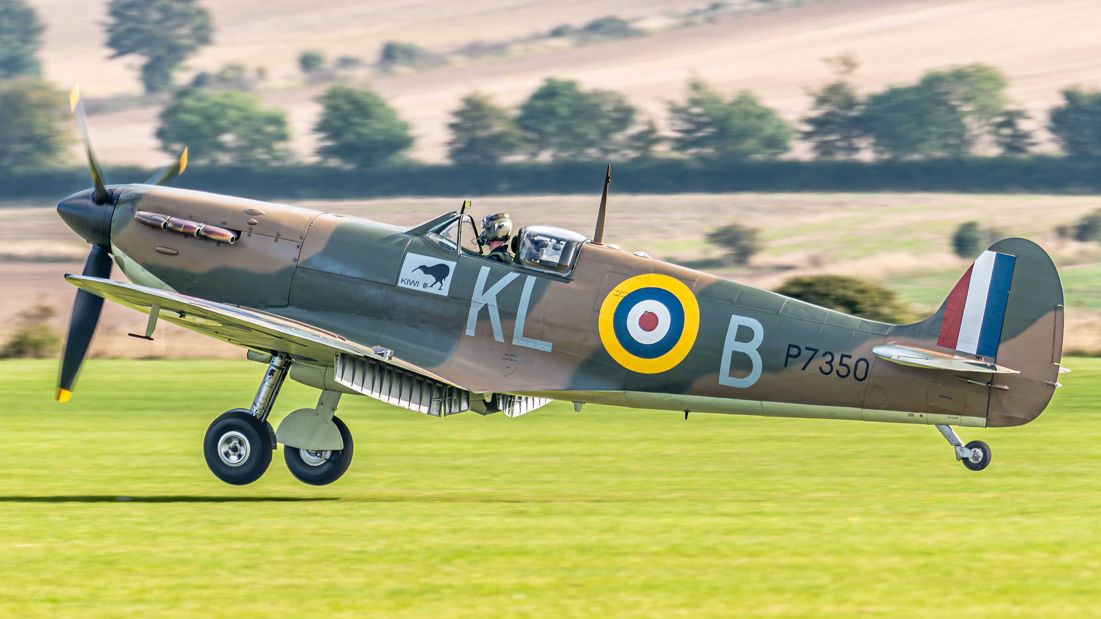 Supermarine Spitfire Mk IIa - P7350 - IWM Duxford - October 2021