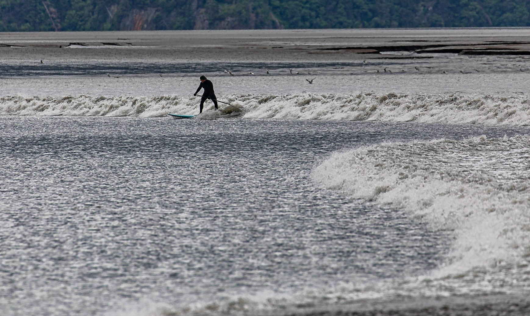 Catching the Bore Tide