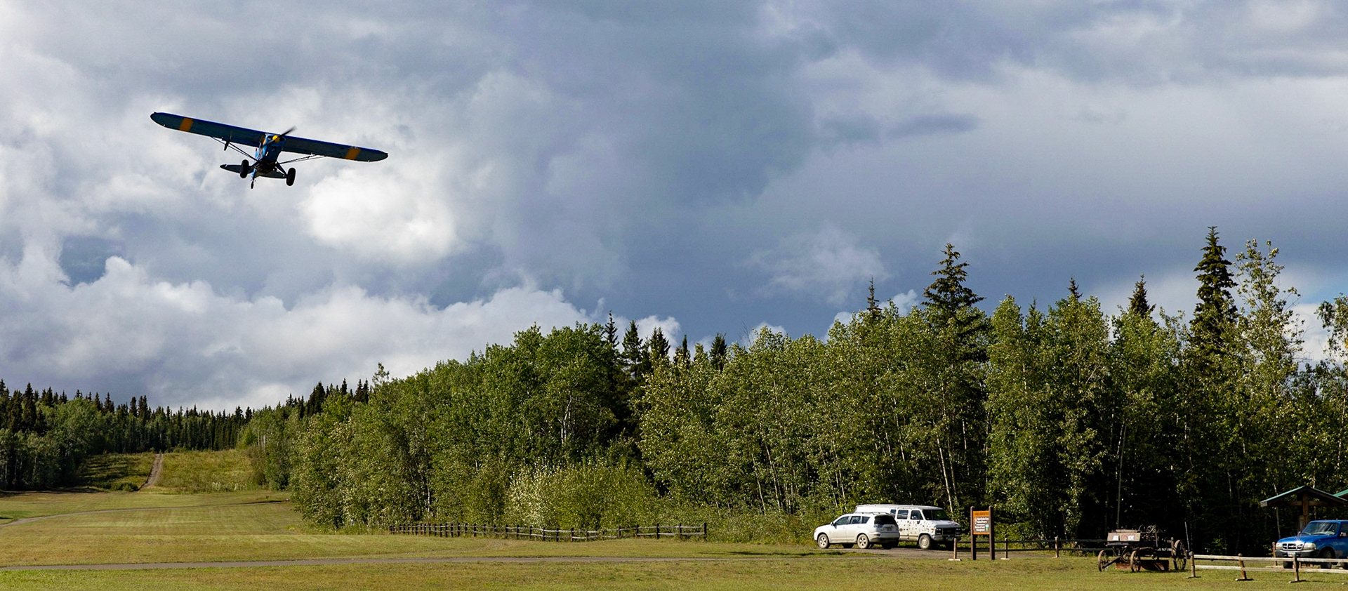 Bush flying