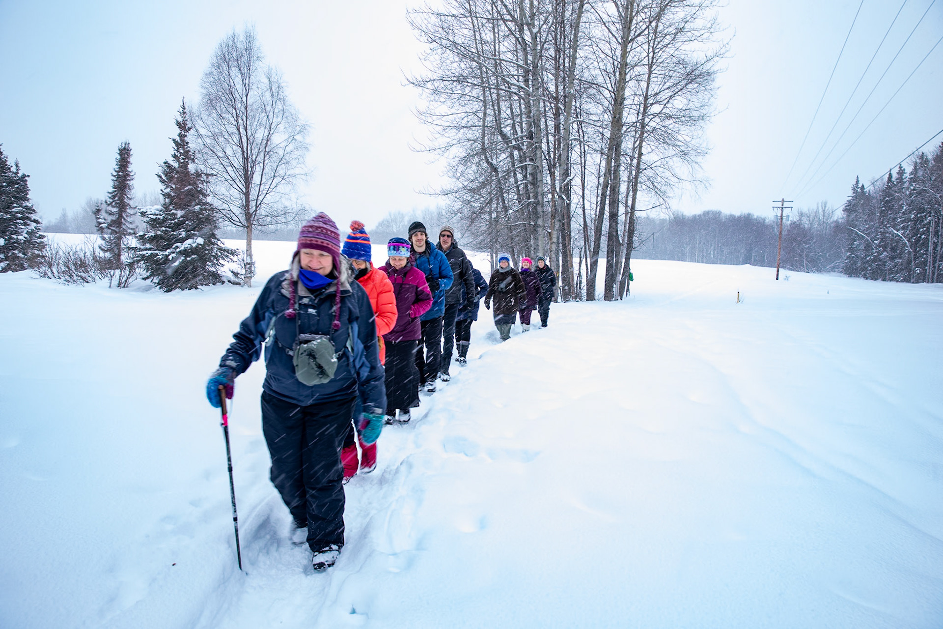 Winter field trip