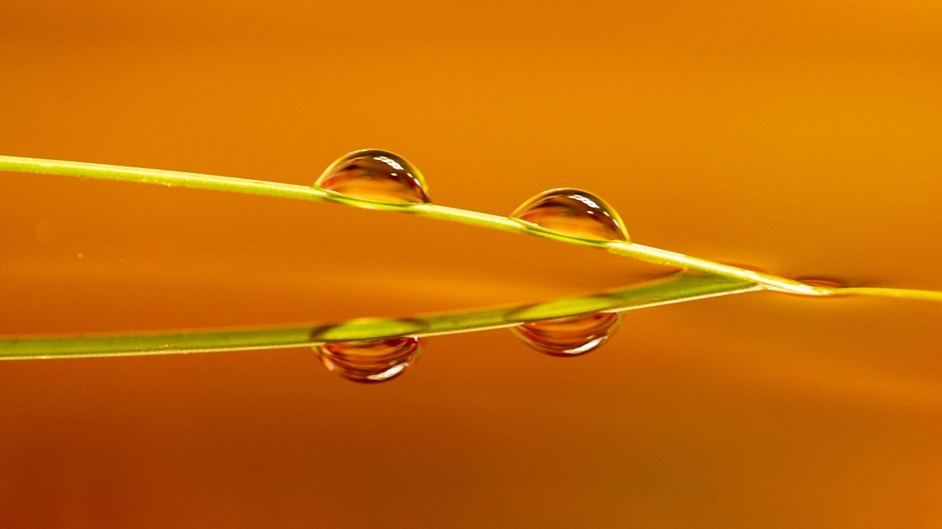 Two drops