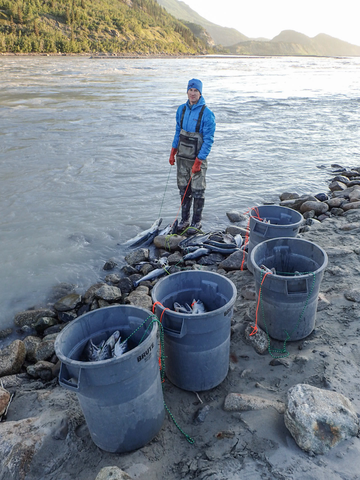 How many fish does a guy need?