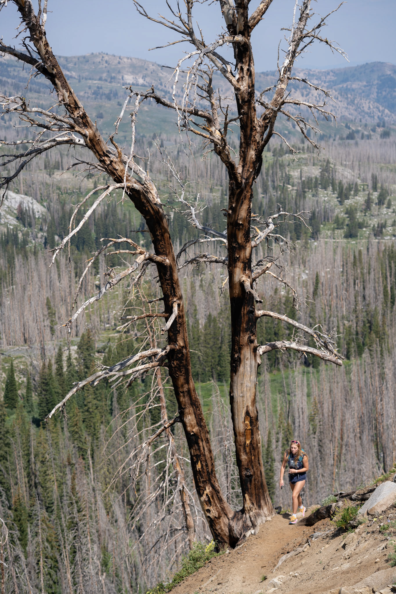 Nearly to the ridge and into the basin