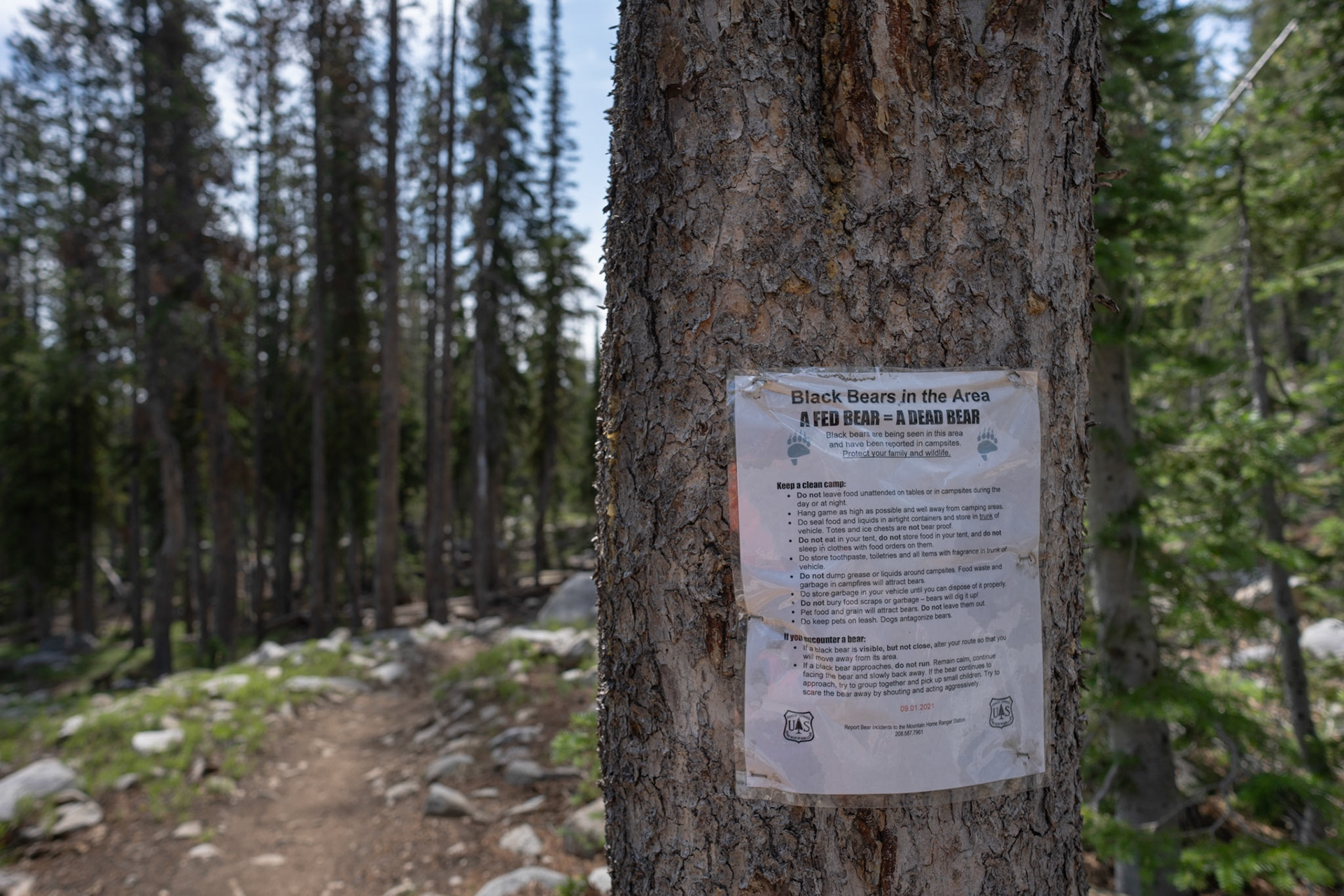 Frequent signs warned of gluttonous bears