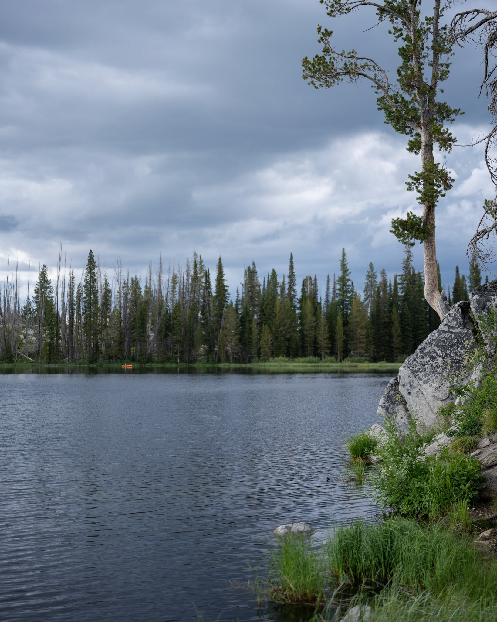 We were dive-bombed a couple times by hummingbirds as we made our way around