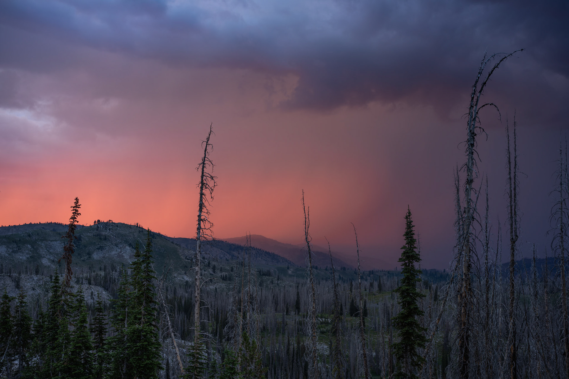 Low rain clouds set aglow by the brilliantly pink sunset. We were amazed.