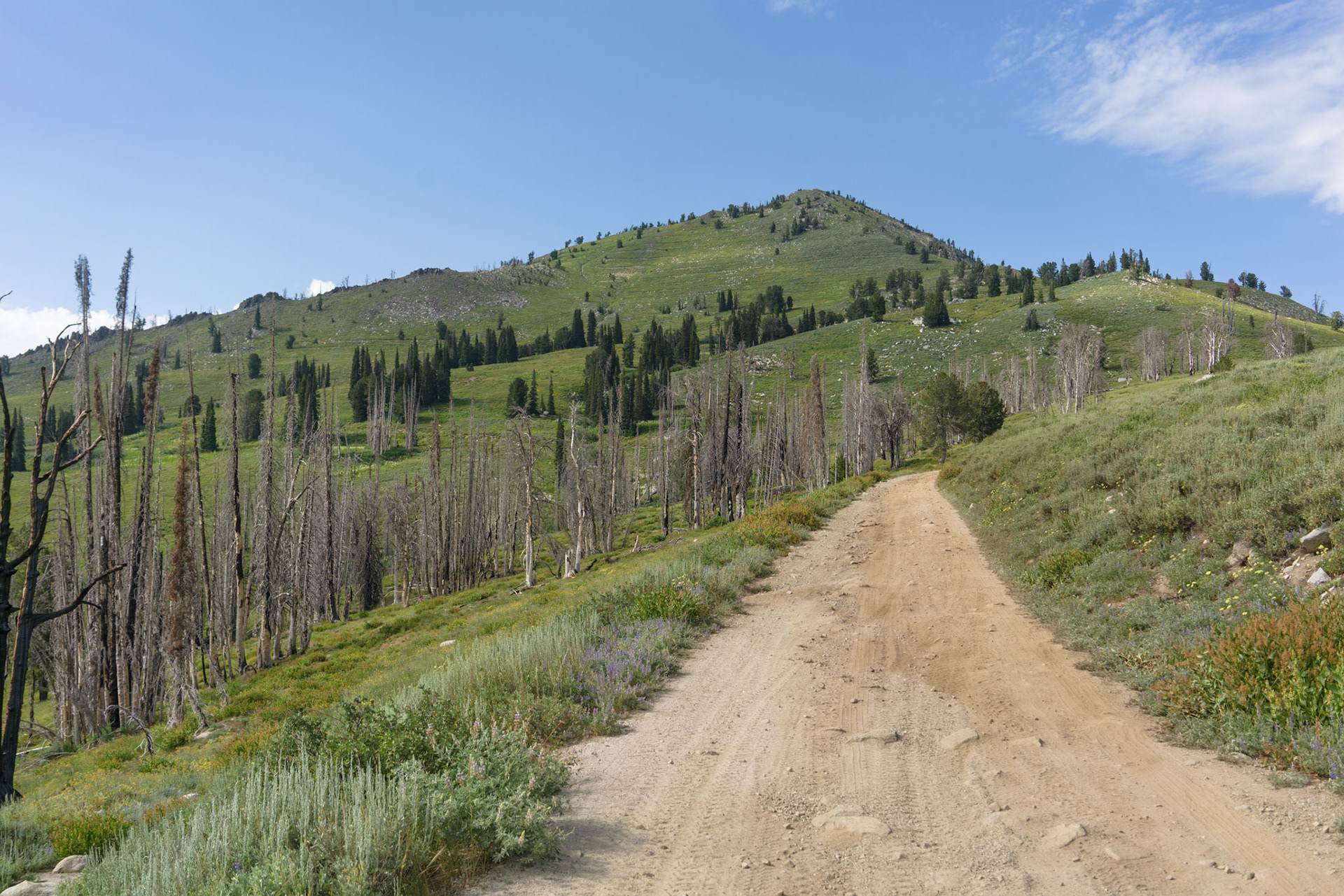 After getting more than our fill of fried food, we continue over House Mountain and up Trinity, past the usual assortment of campers lodged in arid clearings along Fall Creek.