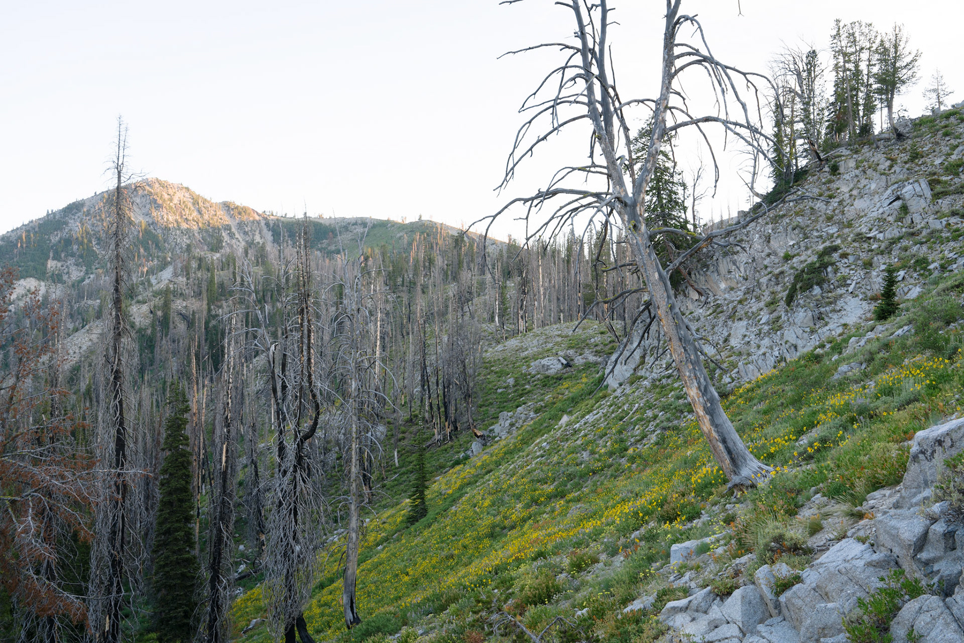 My heart aches to hear Brenna’s questions about why her mom isn’t with us, here or at home. My eyes well with tears as I struggle to be completely honest, to answer each of her questions with care not to give her cause for blame. But blame is exactly what she wants and everything else seems like evasion.