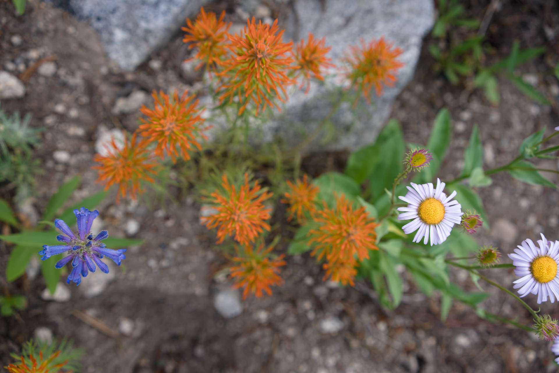 “It’s okay to be mad or sad,” is all I can think to say. I see in Brenna my own tendency to be embarrassed about losing composure so I turn to face her, to let her see my sadness. “I have tears when I feel sad.”She falls quiet. It’s a lot for a young mind to process.