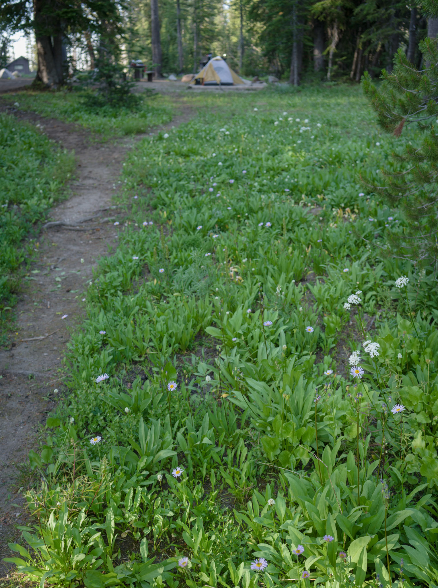 “Dad!” Brenna calls. “Dad! Come see what I found.”I hustle over as she describes a silvery worm she saw in the mud under a few inches of water. When I get near I notice a fish head in the grass at the shore.“I think it might have been fish guts,” I suggest. “Probably from someone fishing here.”She pauses to think and seems to realize that’s probably true. “It was still cool,” she asserts.“Yeah, I bet it was,” I say sincerely.