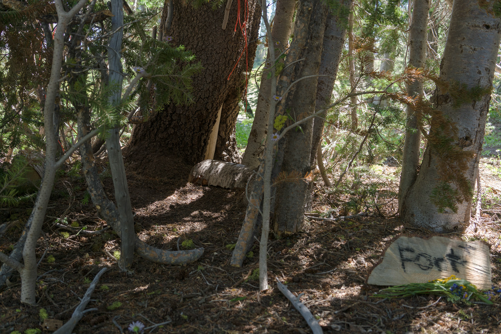 “Can I use the saw?” Brenna asks.“Sure.”While I’m packing up camp, she is cutting branches to build a fort.
