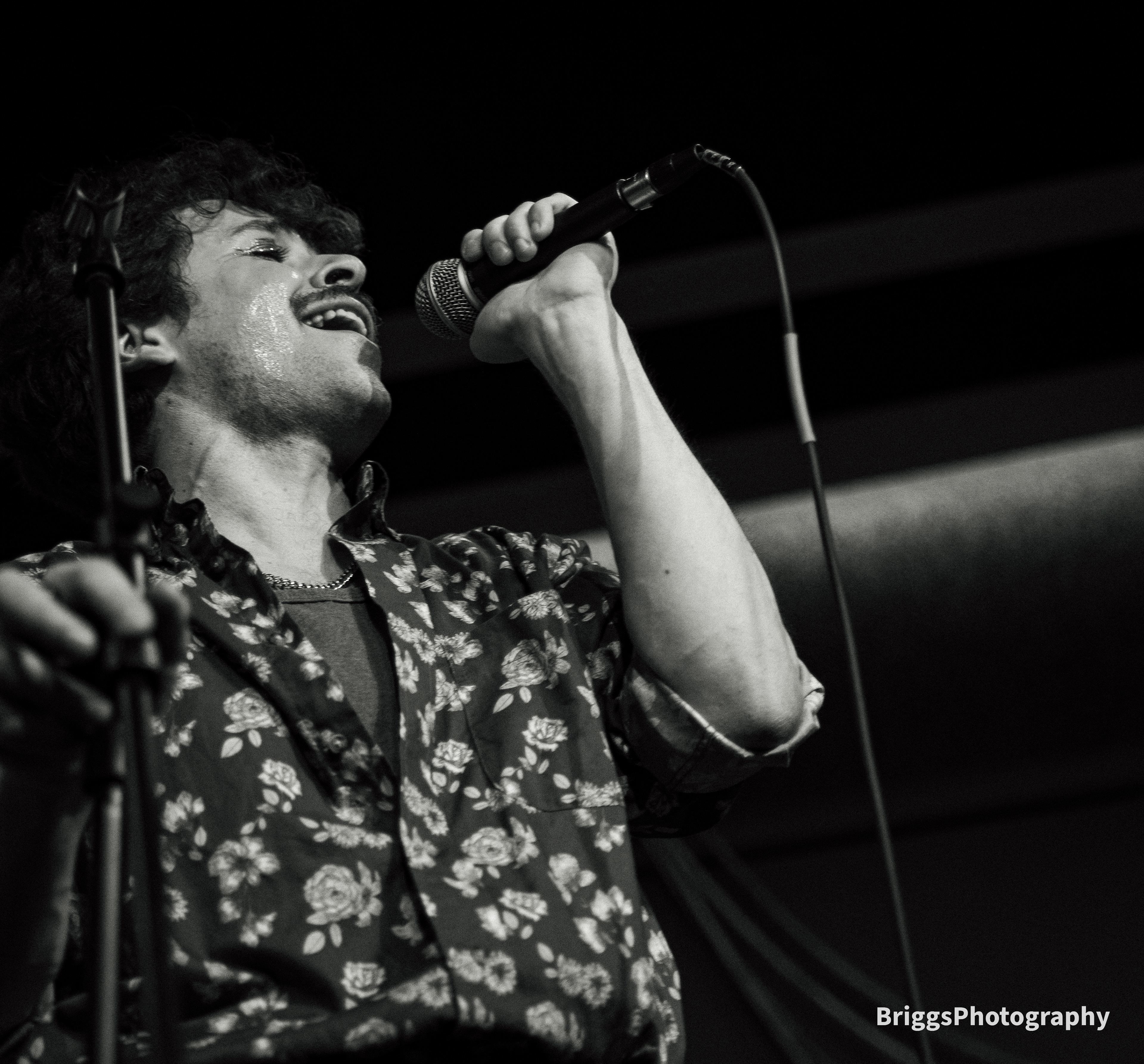 The Cosmoknights | The Stray Cafe | Grand Rapids, MI | March 03/02/2024