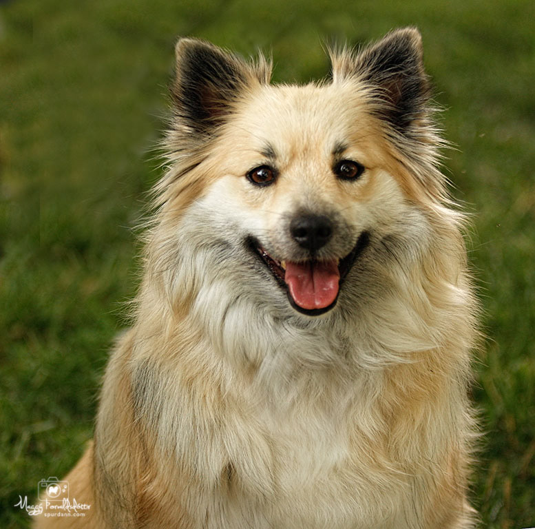 Nella
