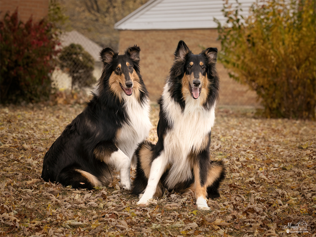 Tucker and Lubbi