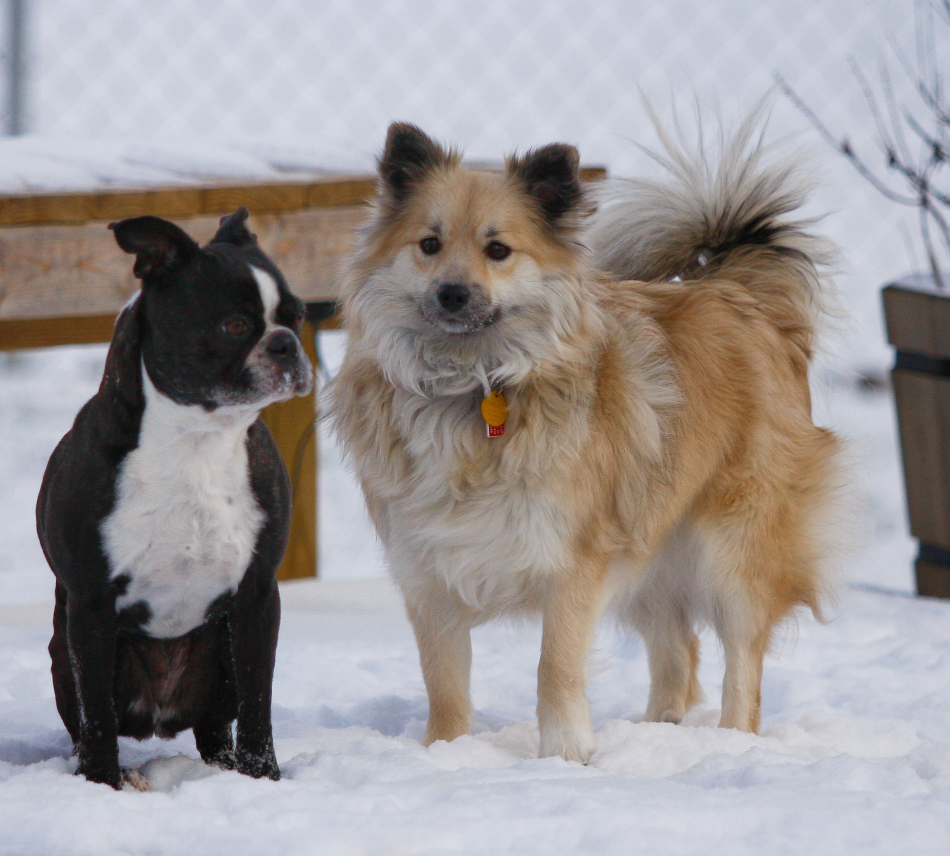 Adrienne and Nella