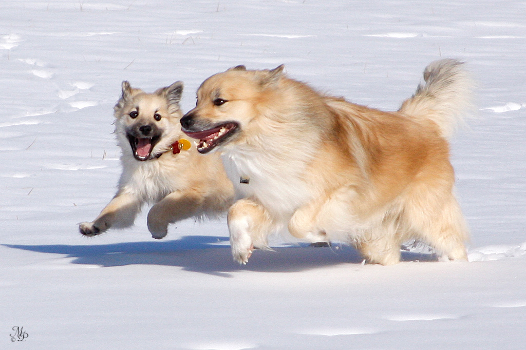 Nella and Spurðann