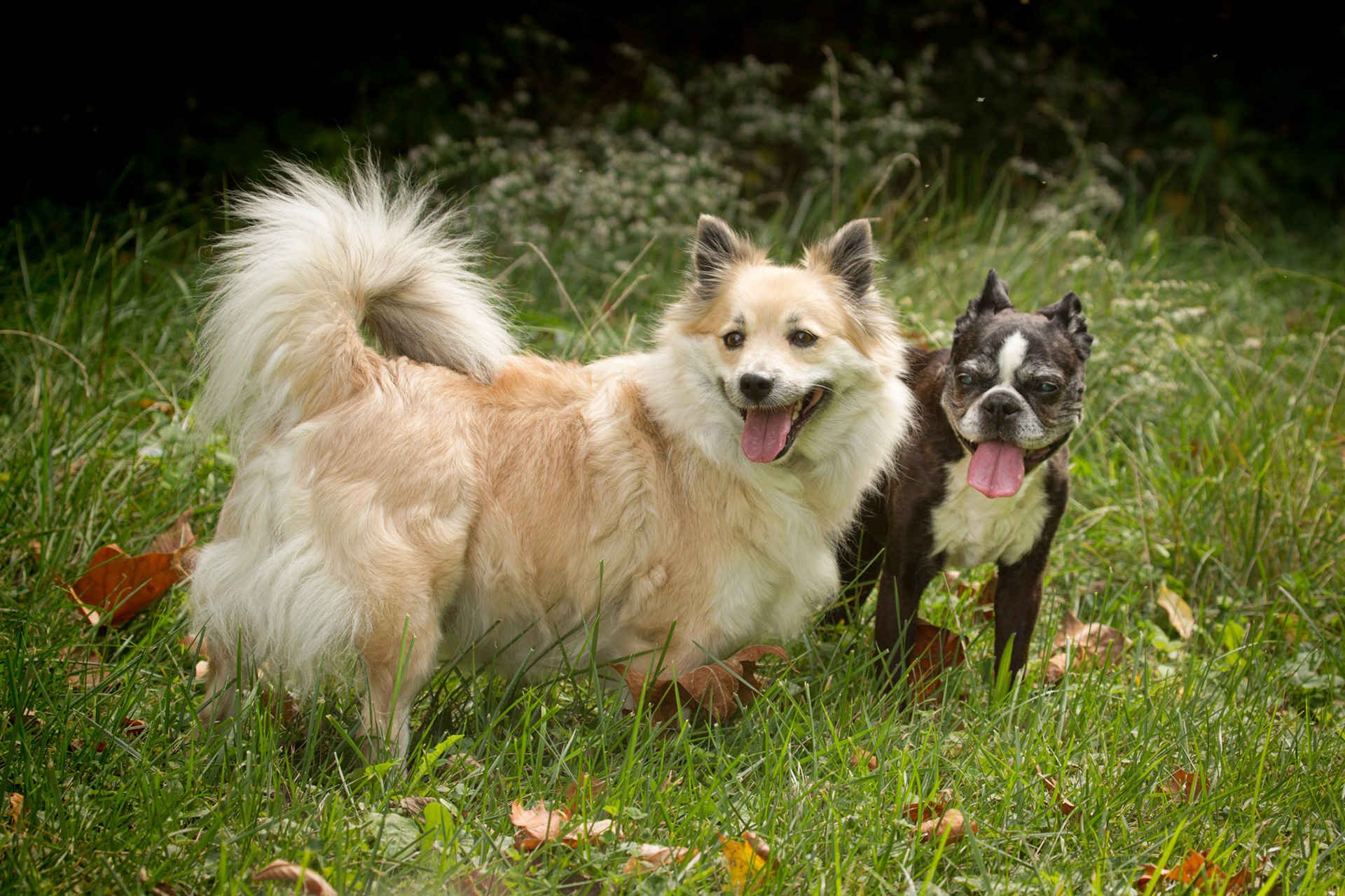 Nella and Adrienne