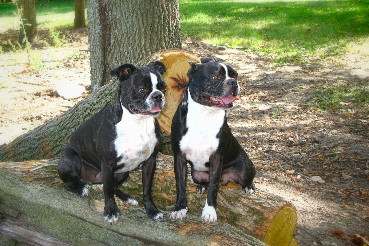 Adrienne and Rocky