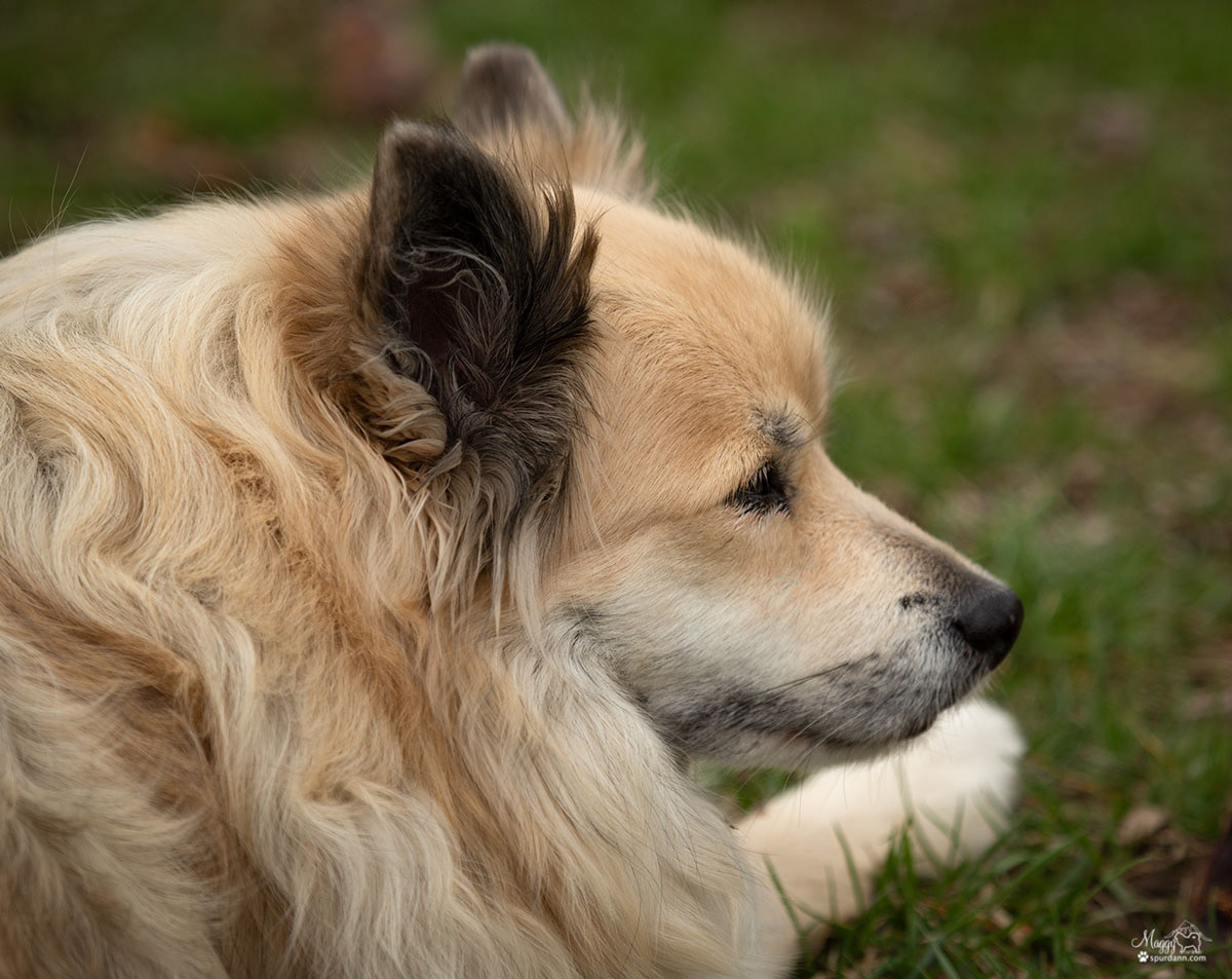 Nella