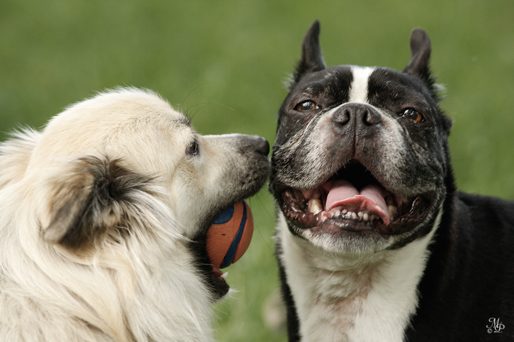 Nella and Rocky