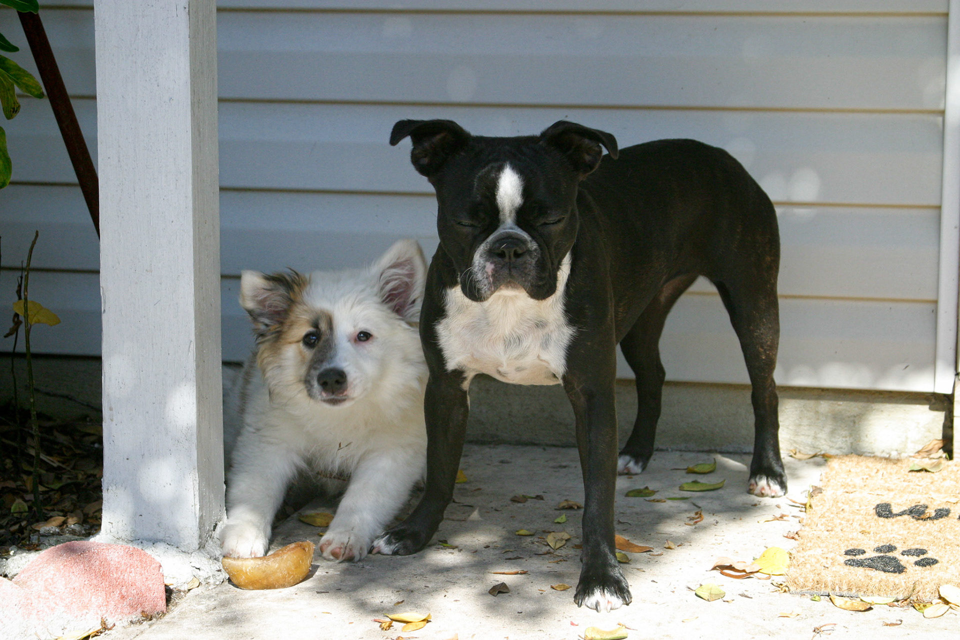 Snotra and Adrienne