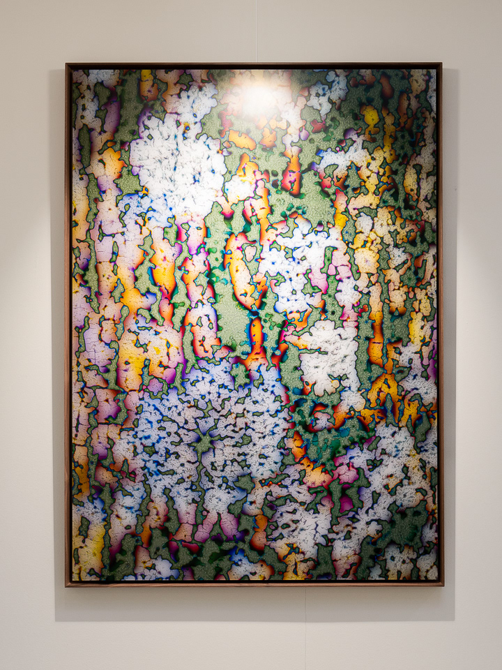 Abstract Nature 52 | 83x115 cm
