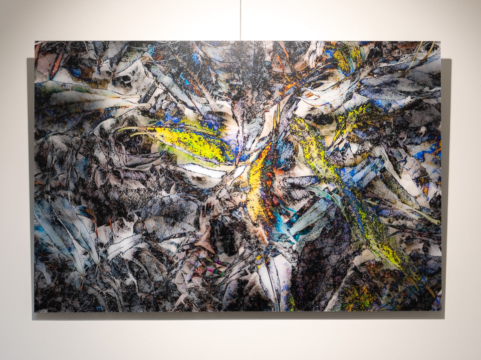Abstract Nature 38 | 90x60 cm