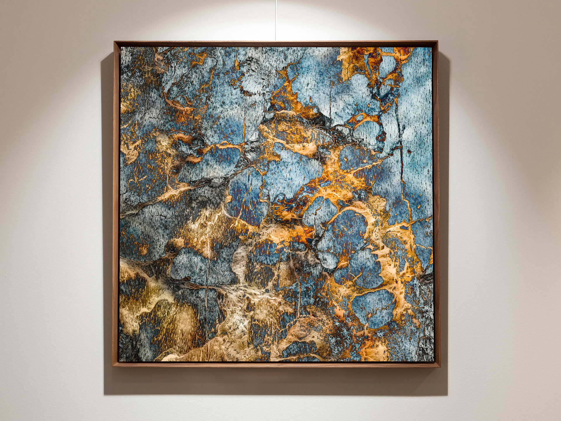Abstract Nature 47, 83x83 cm