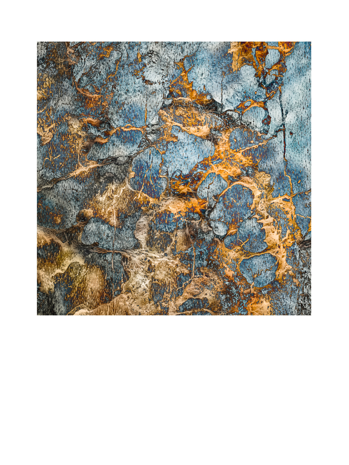Abstract Nature 47