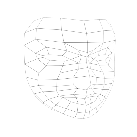 Low-Poly Wireframe