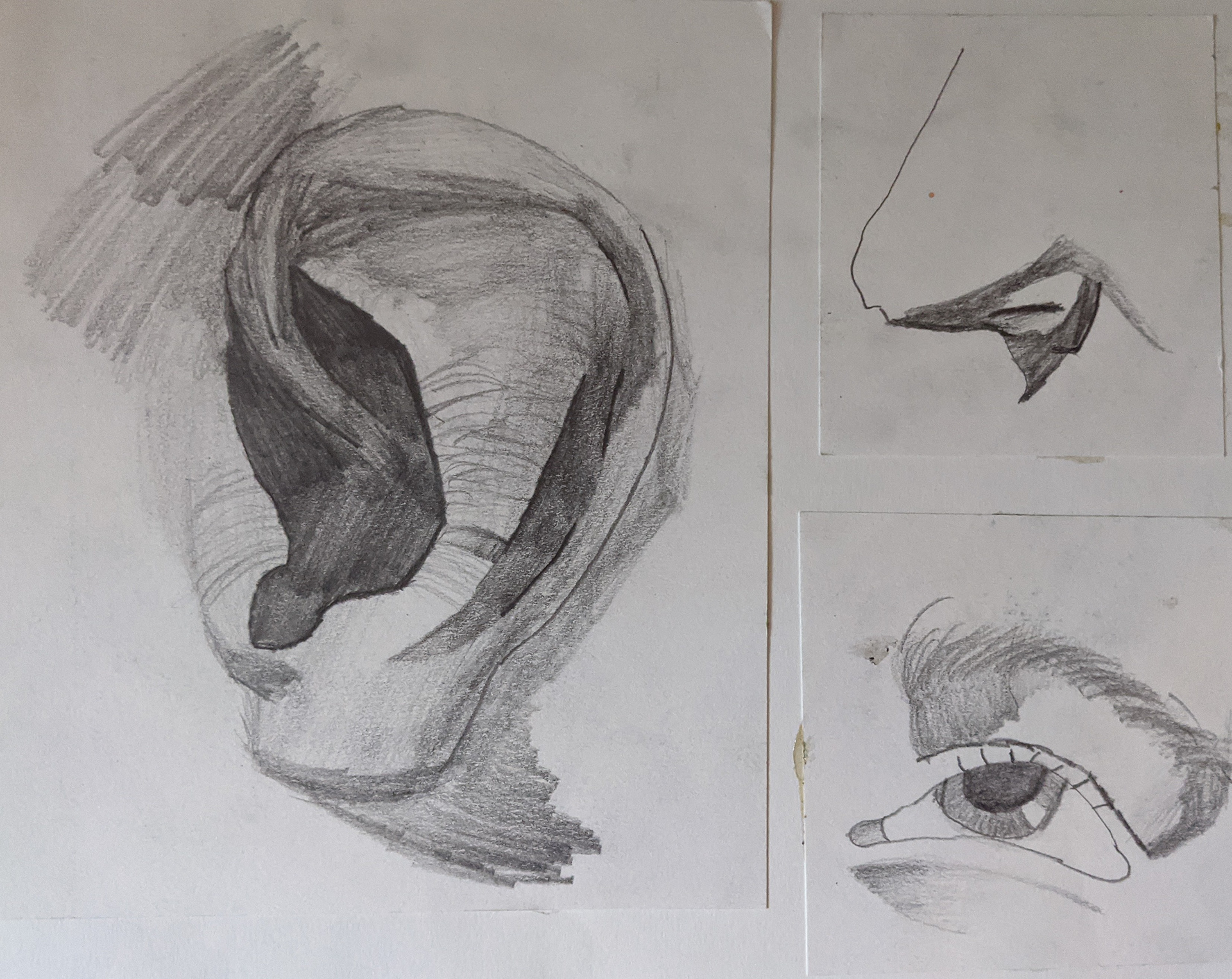 Facial Landmarks #2
