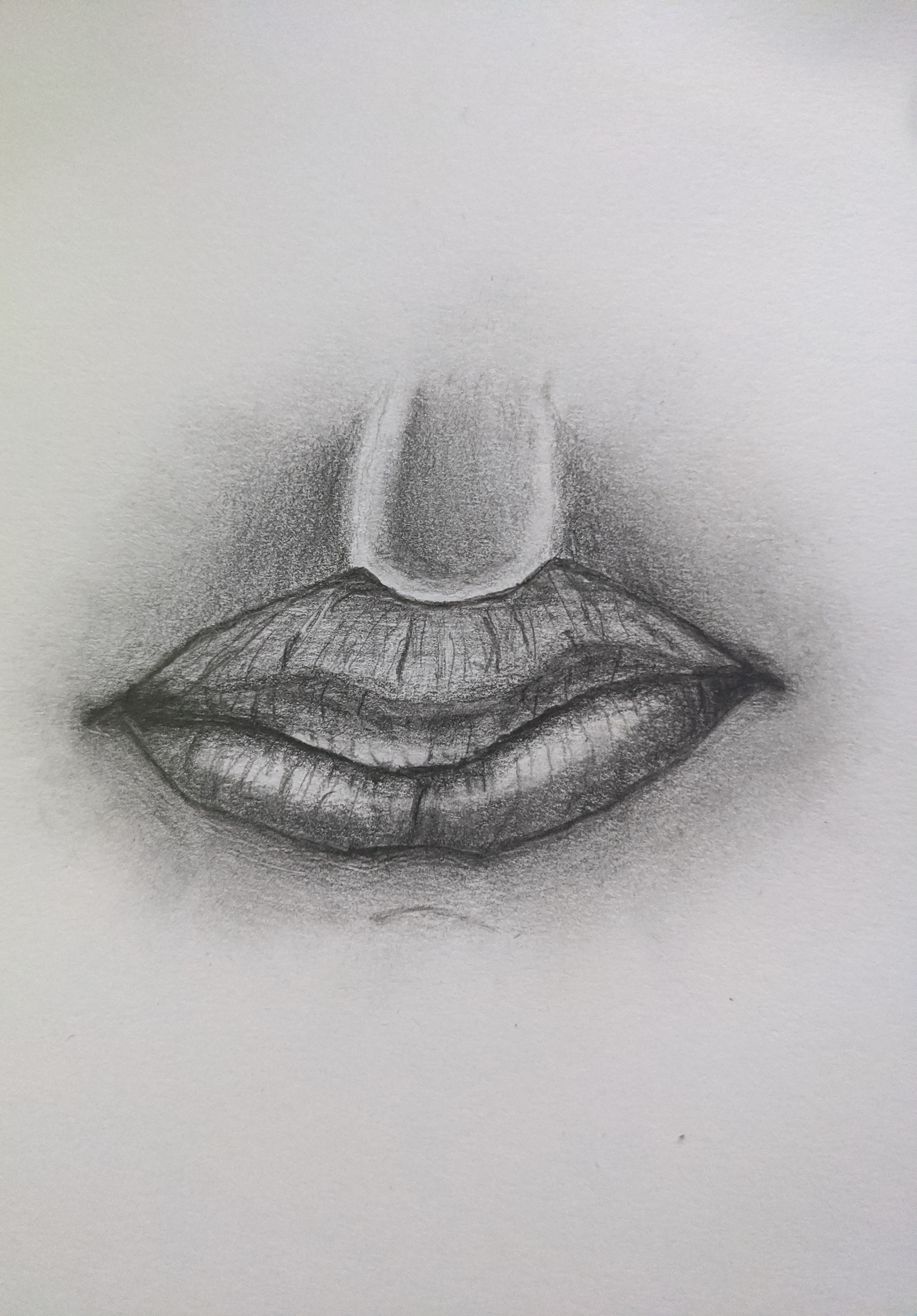 Facial Landmarks #3