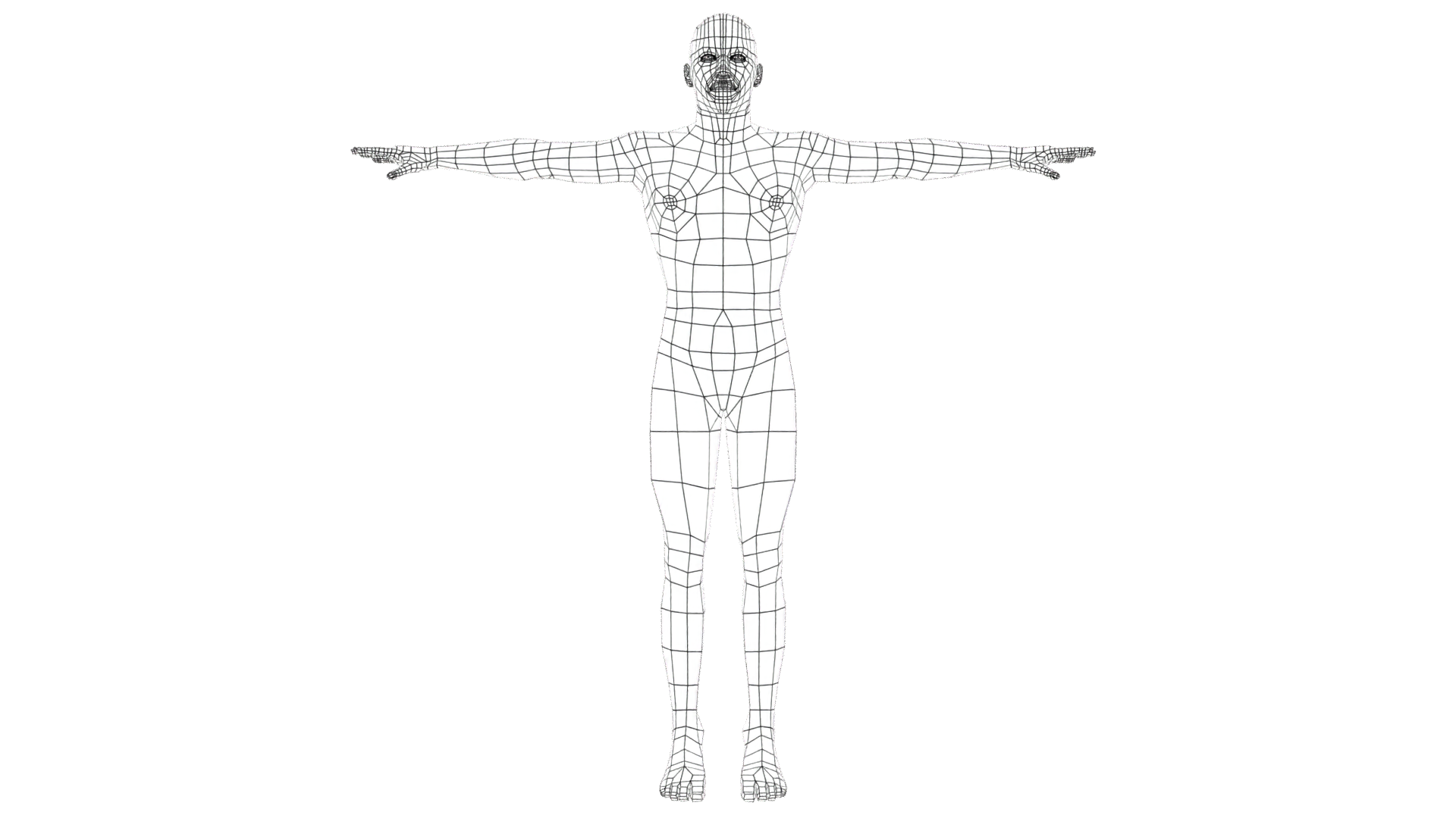 Base Mesh - Wireframe