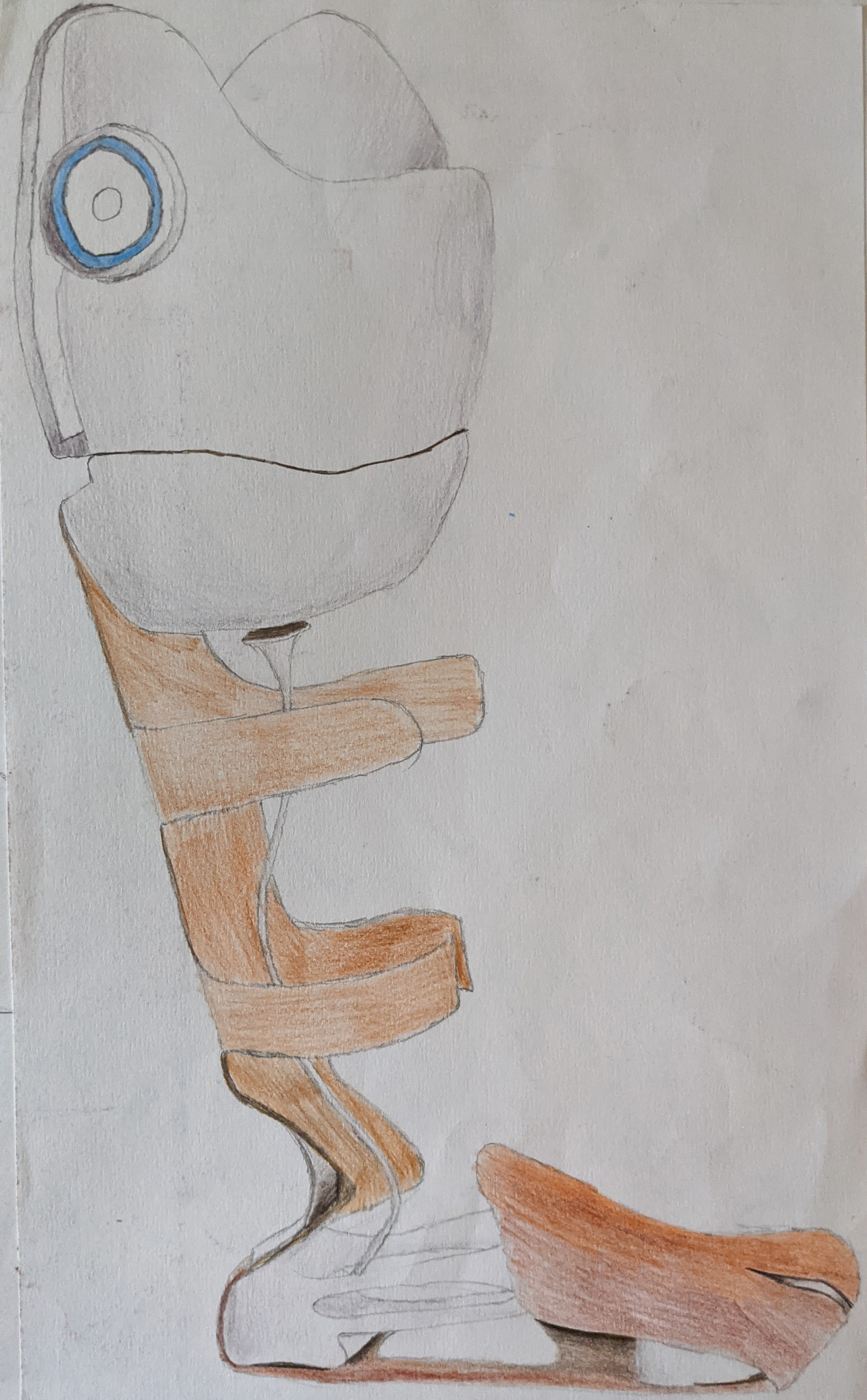 A Future for Prosthetics