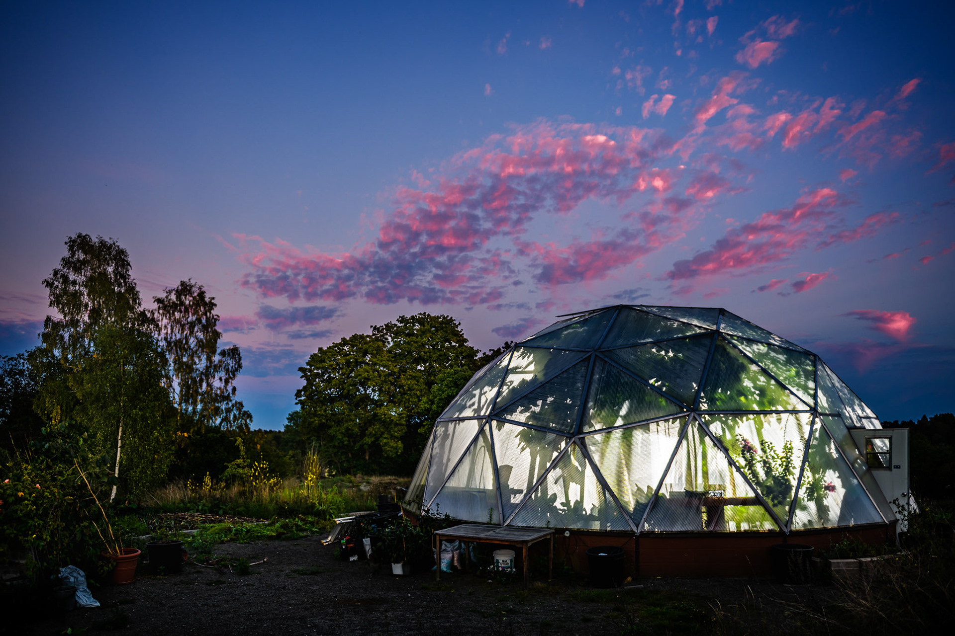 The aquaponics system used in the greenhouse of the Agricultural College at Berga gives, among other things, locally grown bananas.