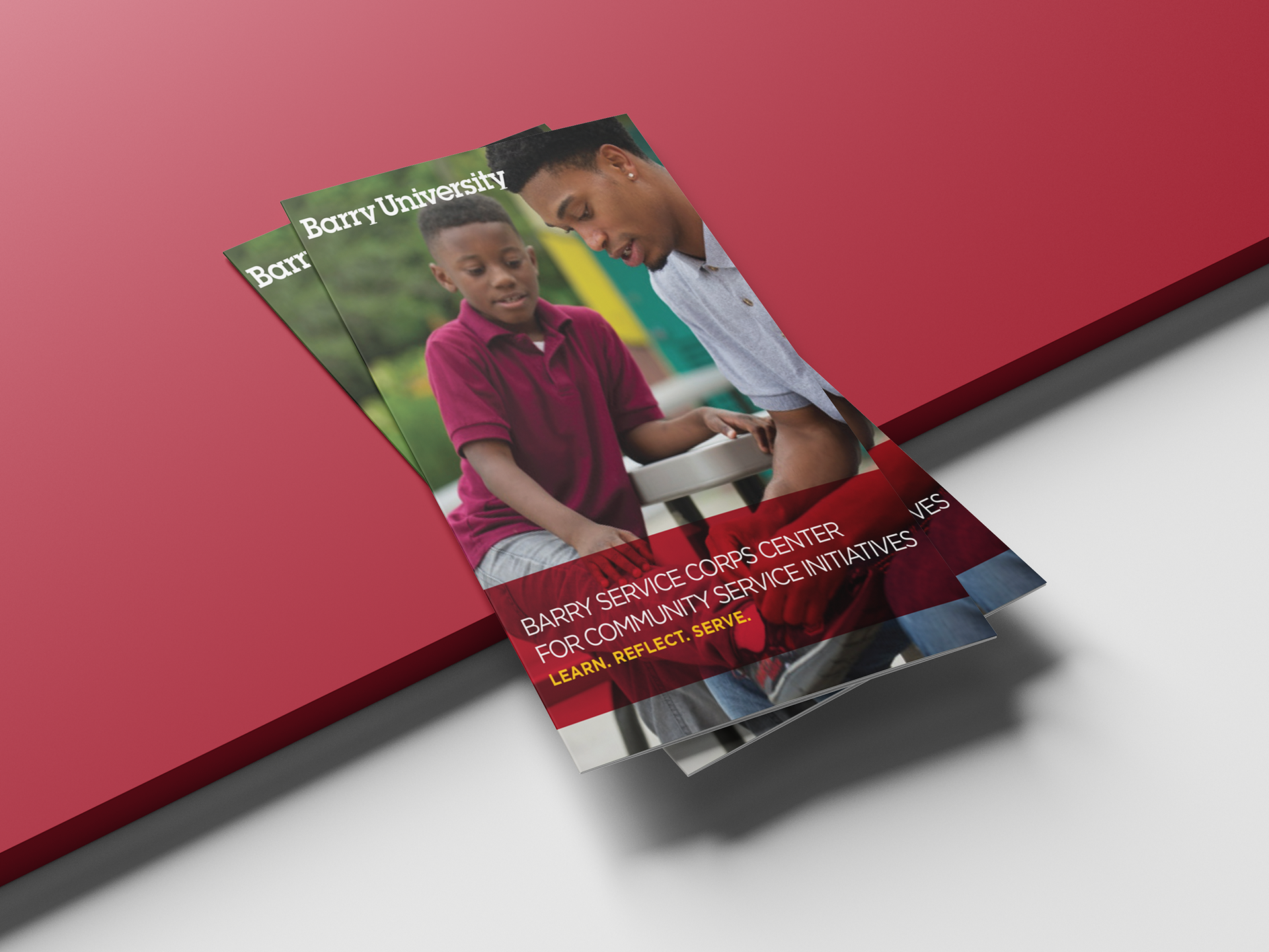 Barry University Brochures 