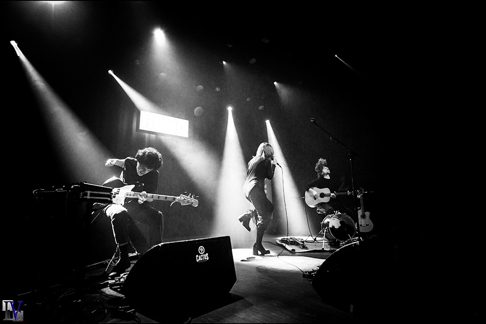 Tje Cactus Halve finale Homo's Rockrally