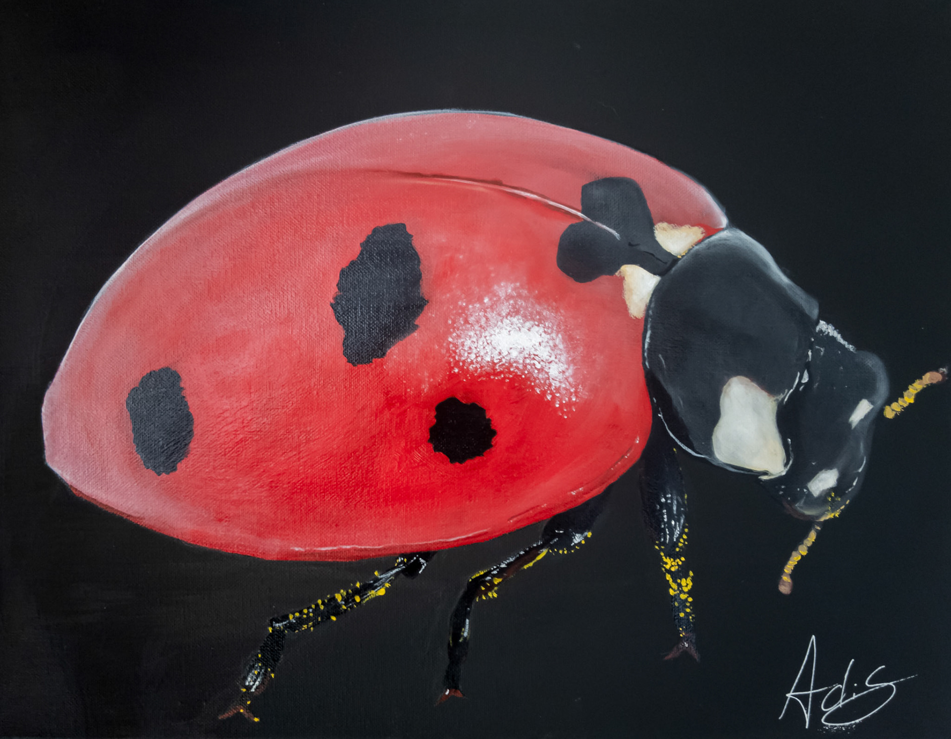 Miniature Giants: LADY 16"x12" Oil and Ink on Canvas SOLD
