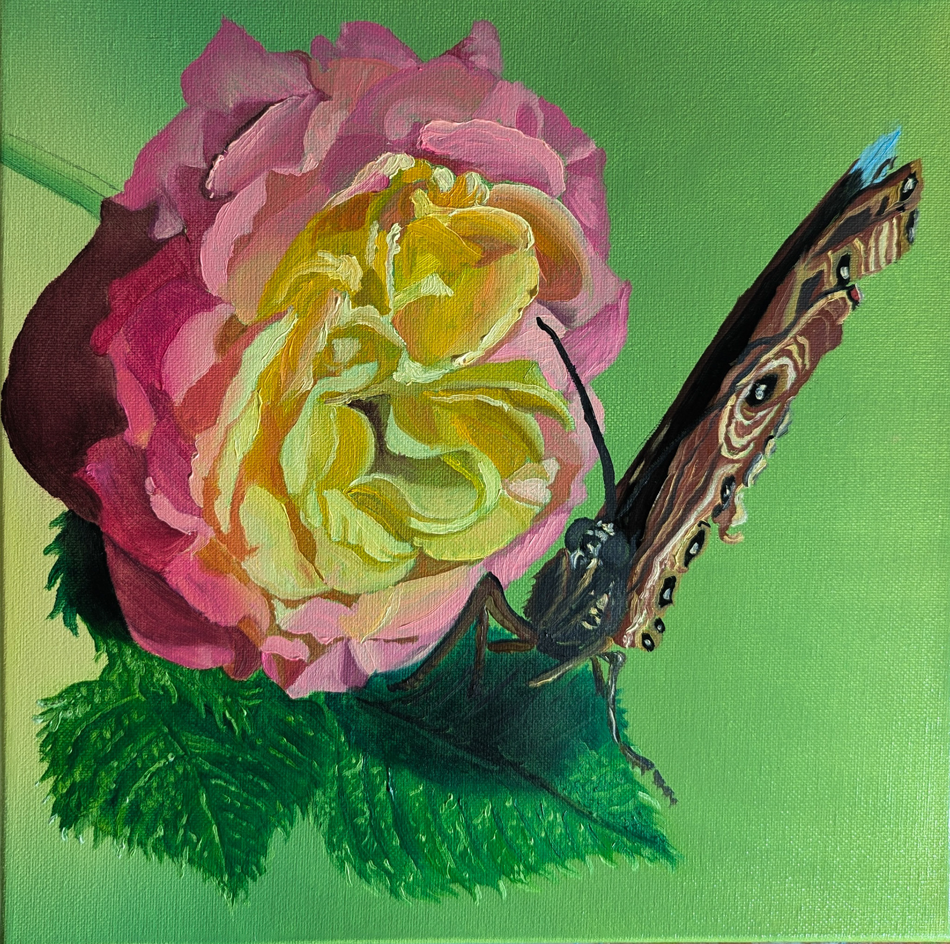 Miniature Giants : Flutter Flower 12"x12" Oil on Canvas SOLD
