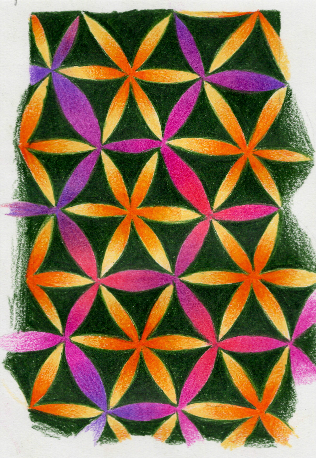 Sacred Flower Study 6"x8" Colored Pencil on Paper